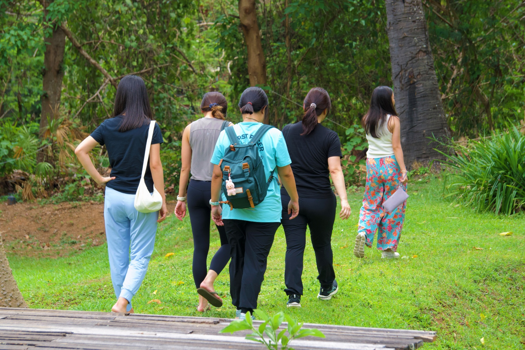 Participants walking together through nature
