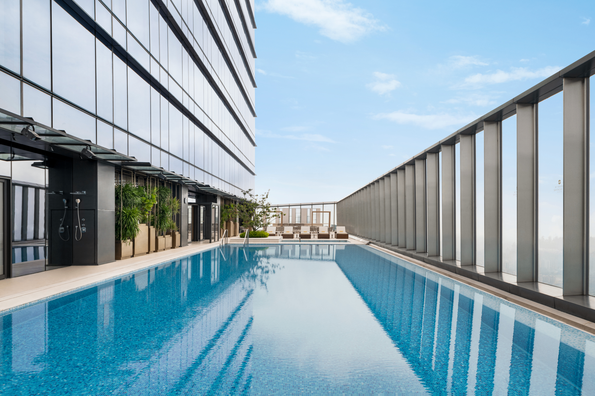 Rooftop infinity pool overlooking the city